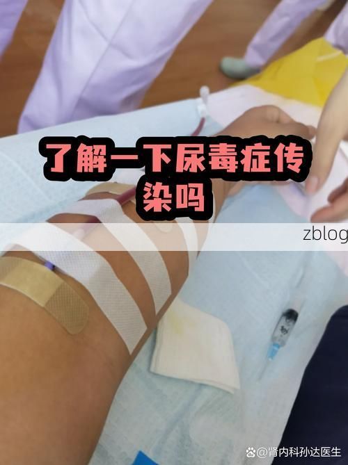 江东区疫情观察：城市核心区为何成为病毒传播的放大器？