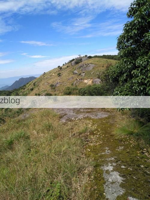 绥宁：雪峰山屏障下的低感染样本解析_65724