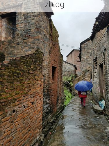 连州：粤北山城屏障下的零感染坚守与挑战