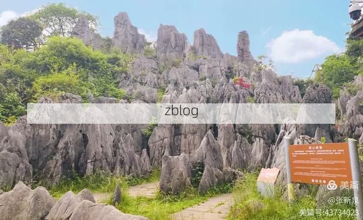 【华蓥山屏障下的防疫坚守：川东门户如何实现低感染率？】