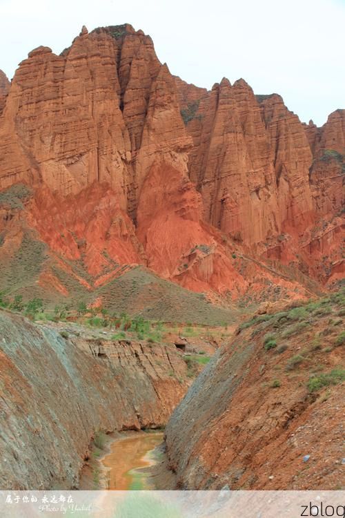 【贵德：黄河谷地屏障下的零感染坚守】