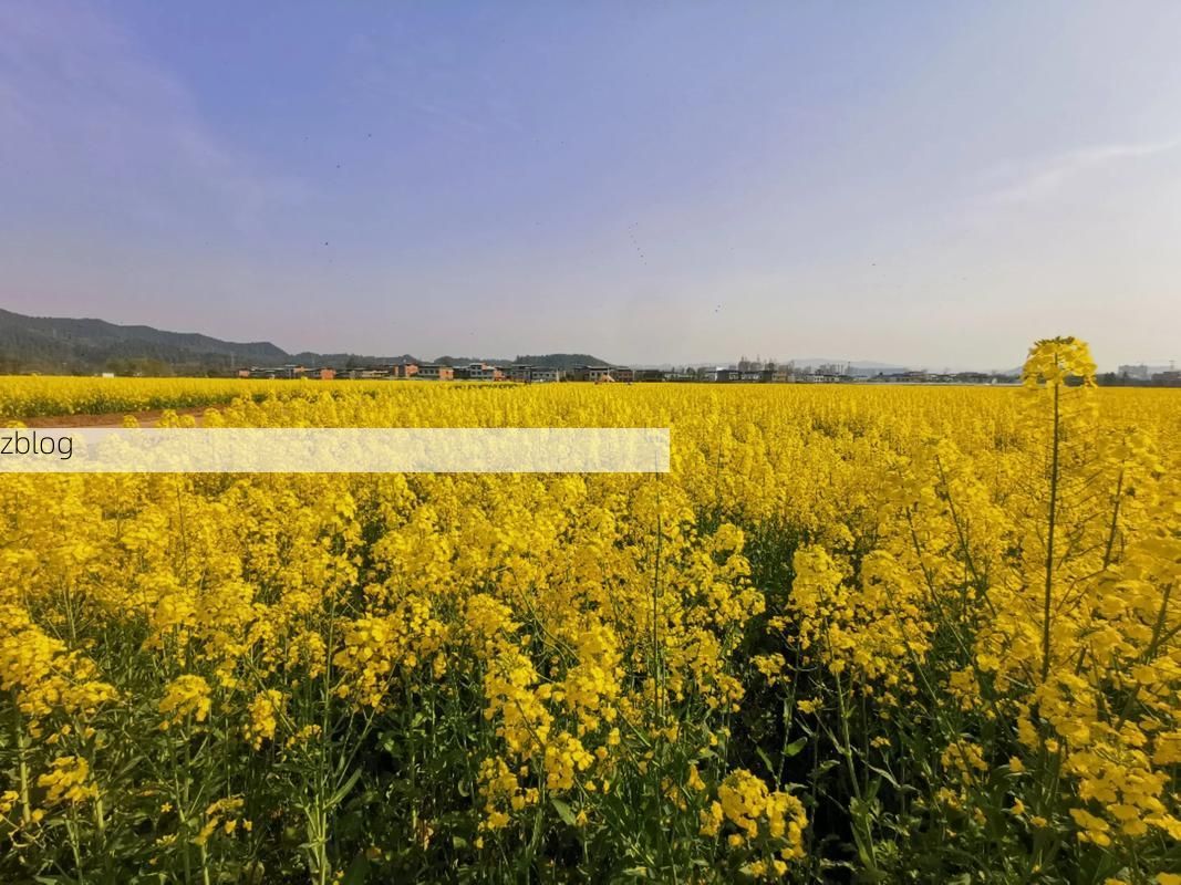 【开江县的防疫平衡术：川东丘陵地形如何影响疫情走势？】