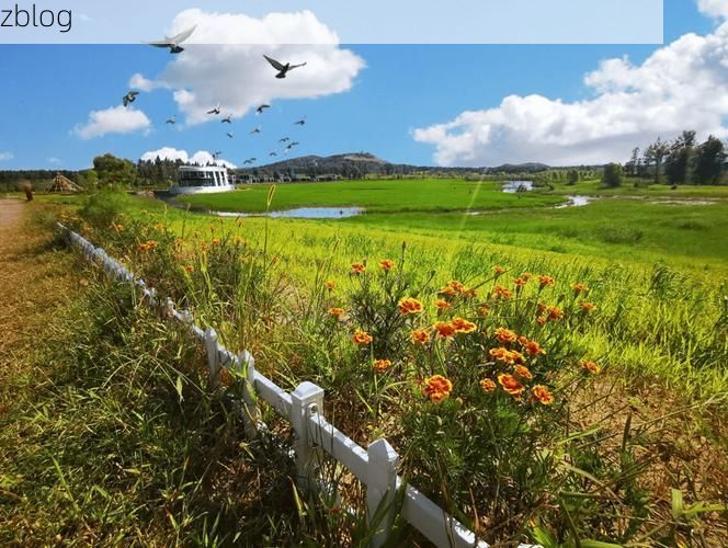 彰武草原屏障下的零感染坚守：地理优势如何筑起防疫高墙