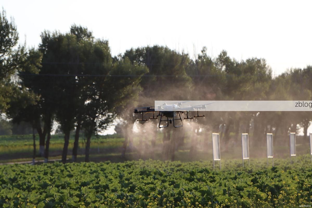 定边新增1例无症状感染者  定边县疫情防控最新通报_5471