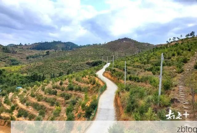 粤北门户的防疫压力：乐昌市疫情数据与地理因素分析