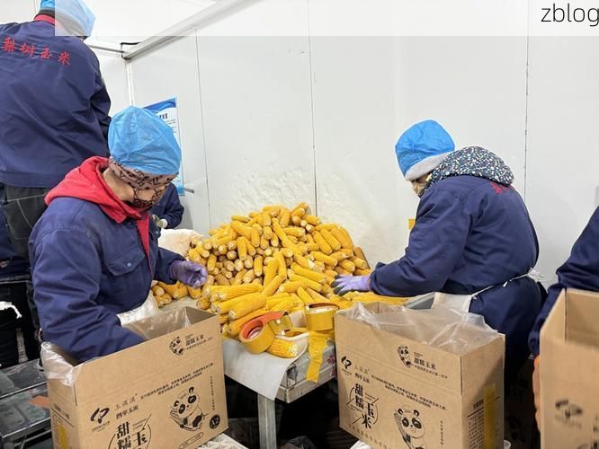 梨树县疫情观察：东北黑土平原上的防控样本