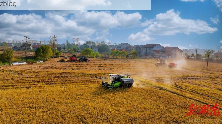 【平舆县疫情综述：豫东南平原腹地的防控样本】