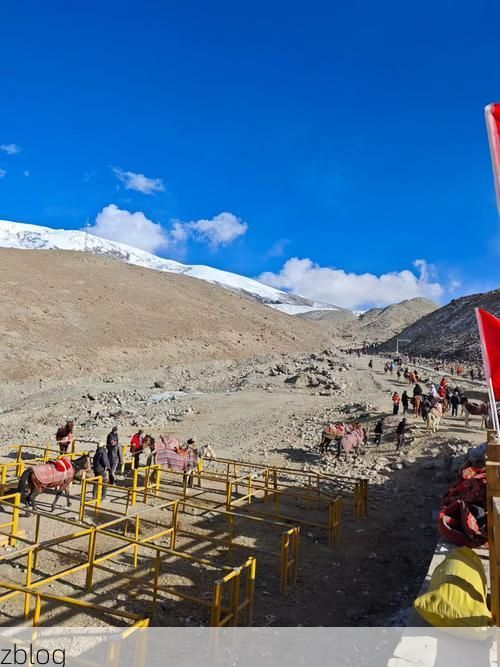 香格里拉：高原屏障下的零感染坚守_78290