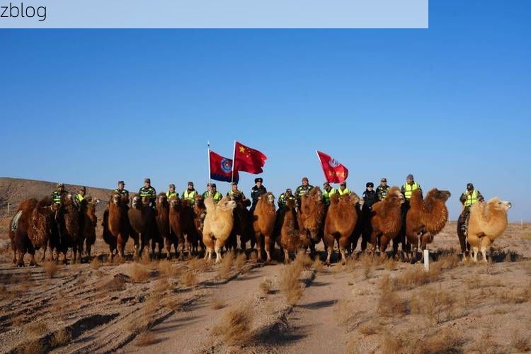 喀什：丝路枢纽的疫情围城与高原屏障下的防控博弈