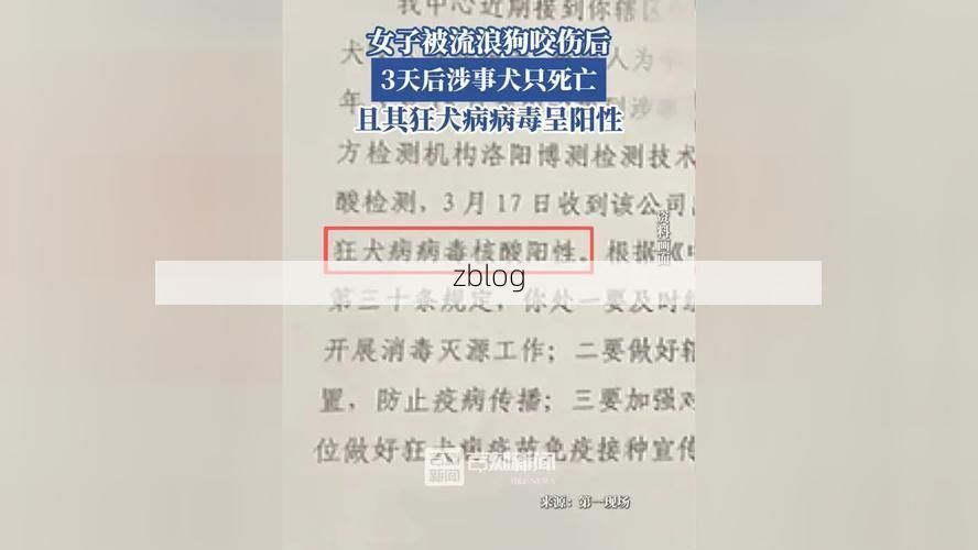 焦作新增1例无症状感染者  焦作市疫情防控最新通报_77713