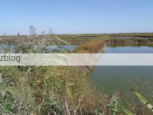 昌邑市：渤海湾畔的零感染坚守与地理屏障解析_58512