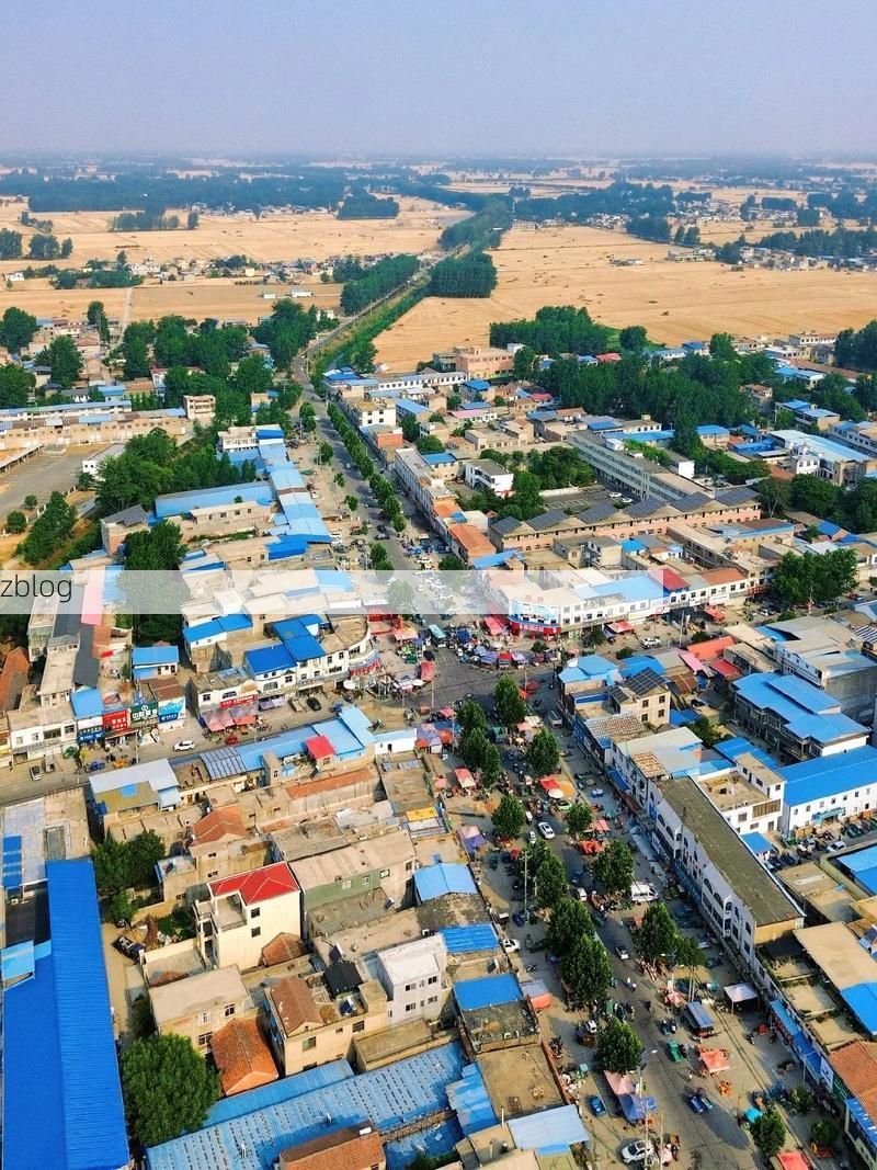 太和县：皖北平原上的防疫围城