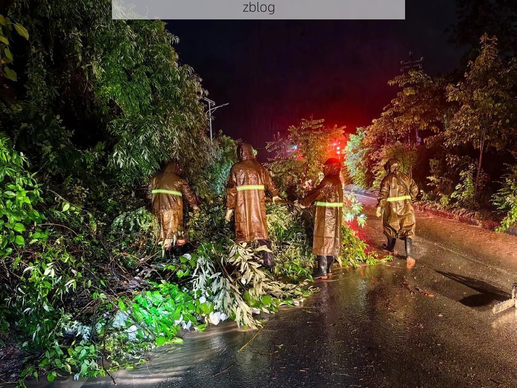 秀城疫情：沿海交通枢纽下的防控突围战