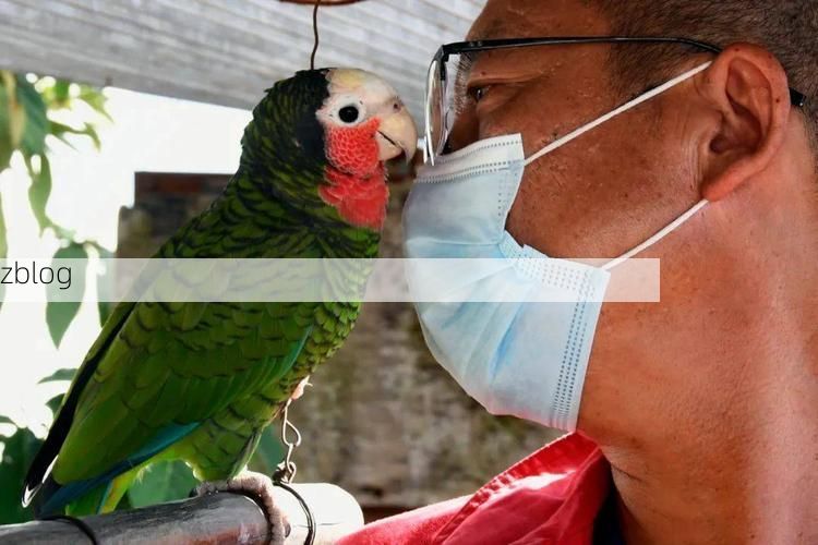 华宁：滇中腹地的零感染坚守与地理屏障解析_42670