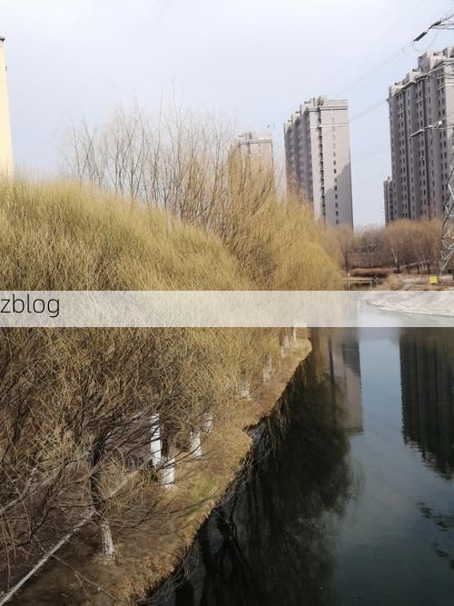 高唐：鲁西平原上的疫情防波堤