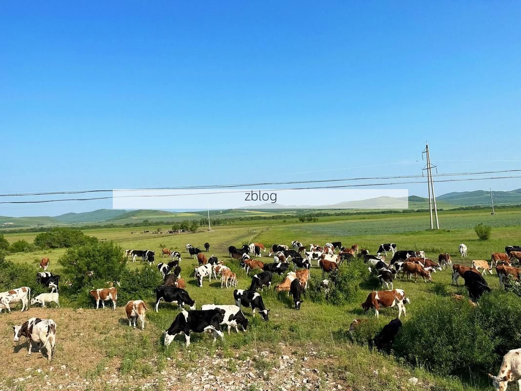 巴林右旗：草原屏障下的零感染坚守